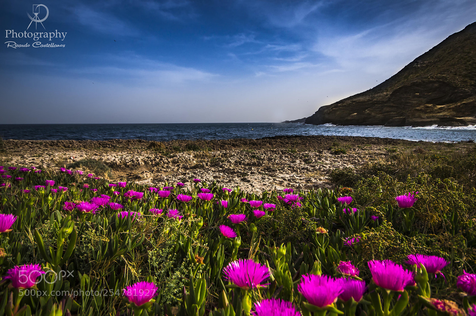 Sony SLT-A58 sample photo. Cala reona (cartagena) photography