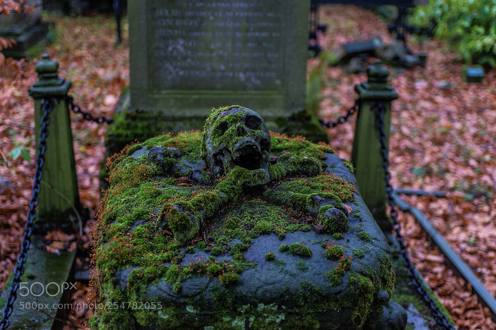 Nikon D4 sample photo. Skeleton grave photography