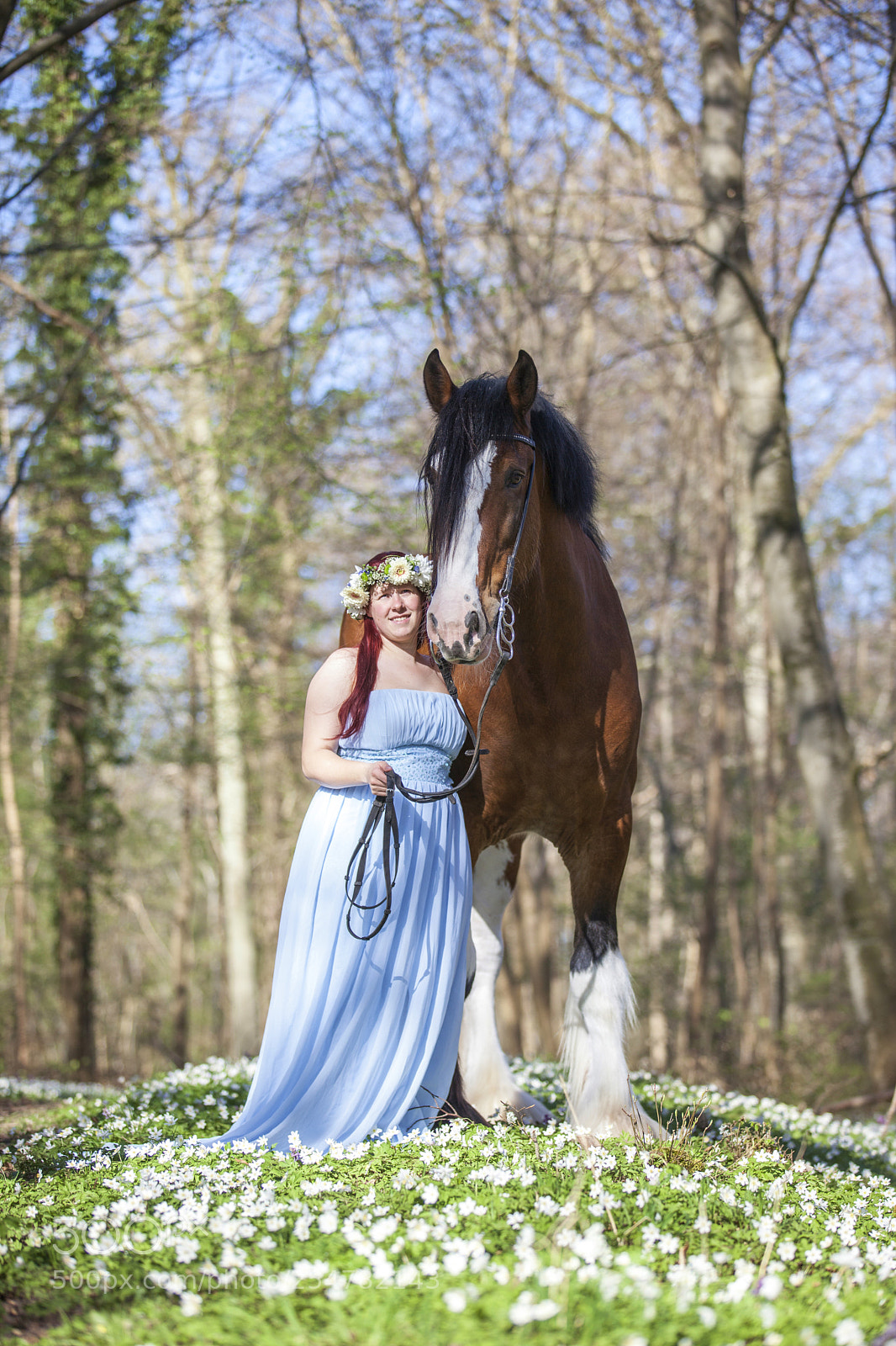 Canon EOS 5D Mark II sample photo. Broomhedge top knot photography