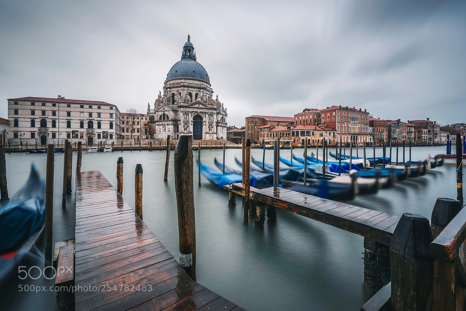 Nikon D810 sample photo. Santa maria della salute photography
