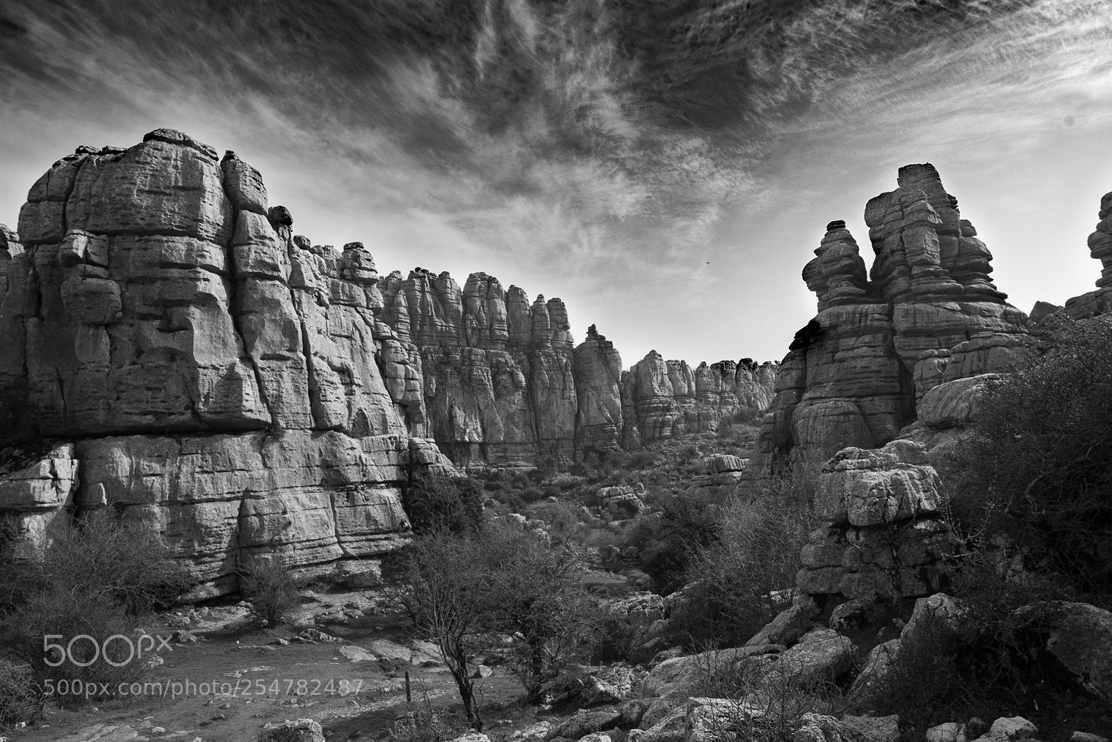 Canon EOS 6D Mark II sample photo. El torca photography