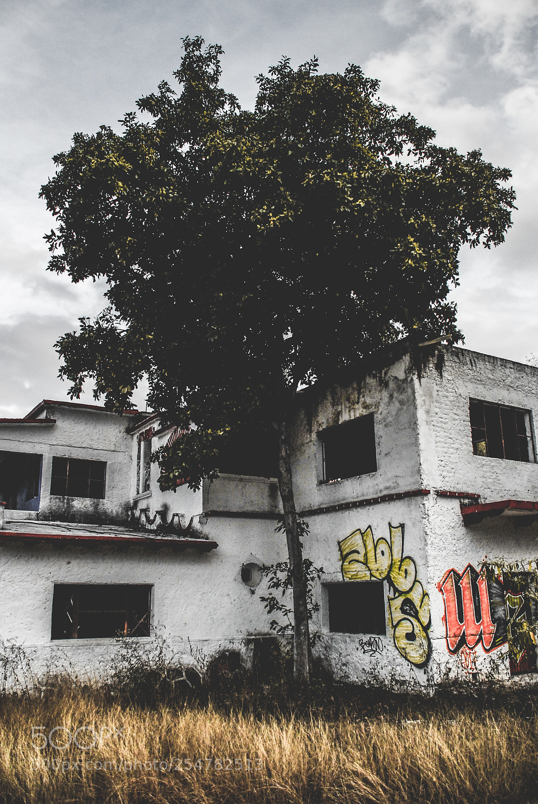 Nikon D200 sample photo. Untitled photography
