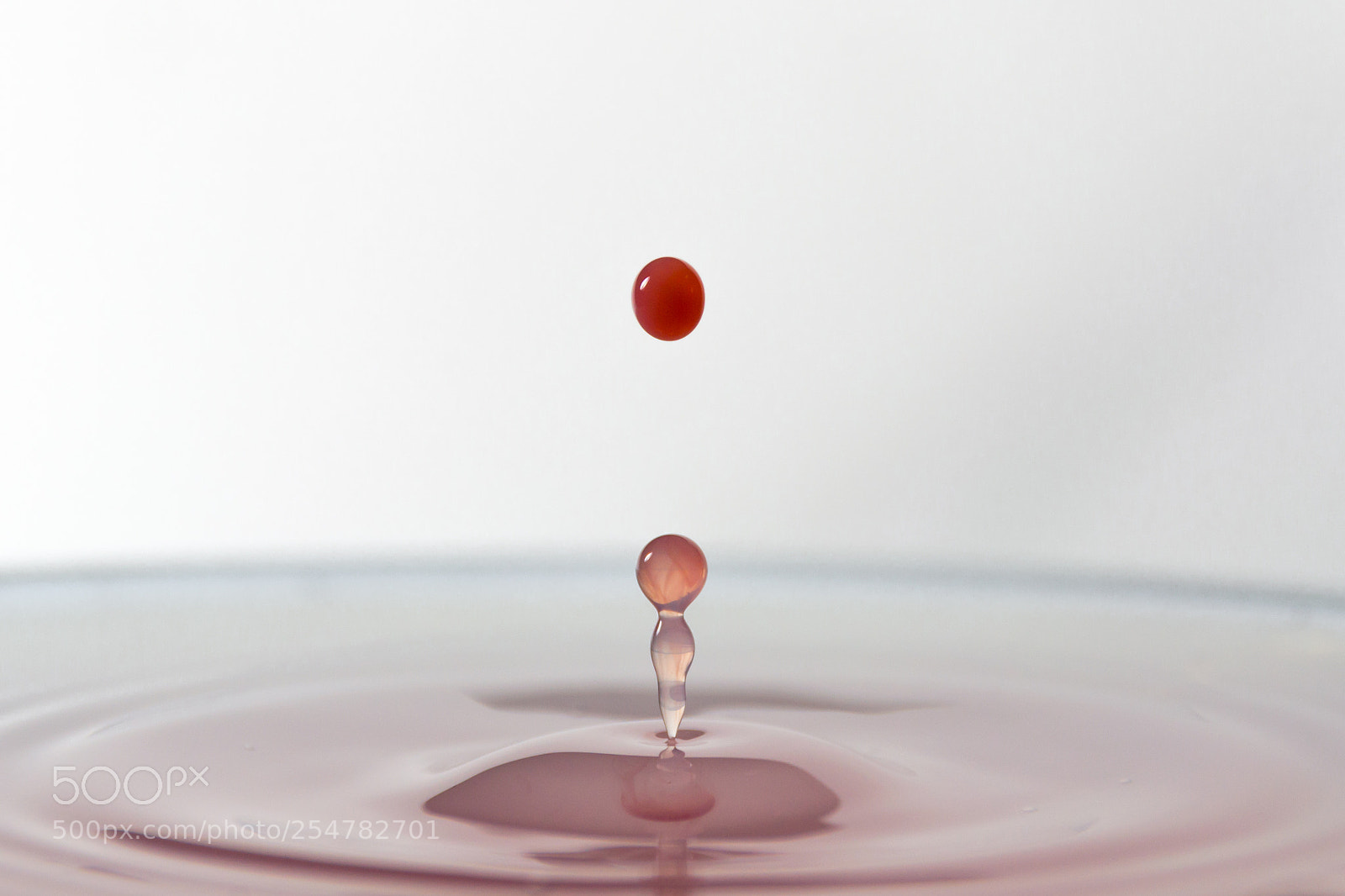 Nikon D3100 sample photo. Splash photography
