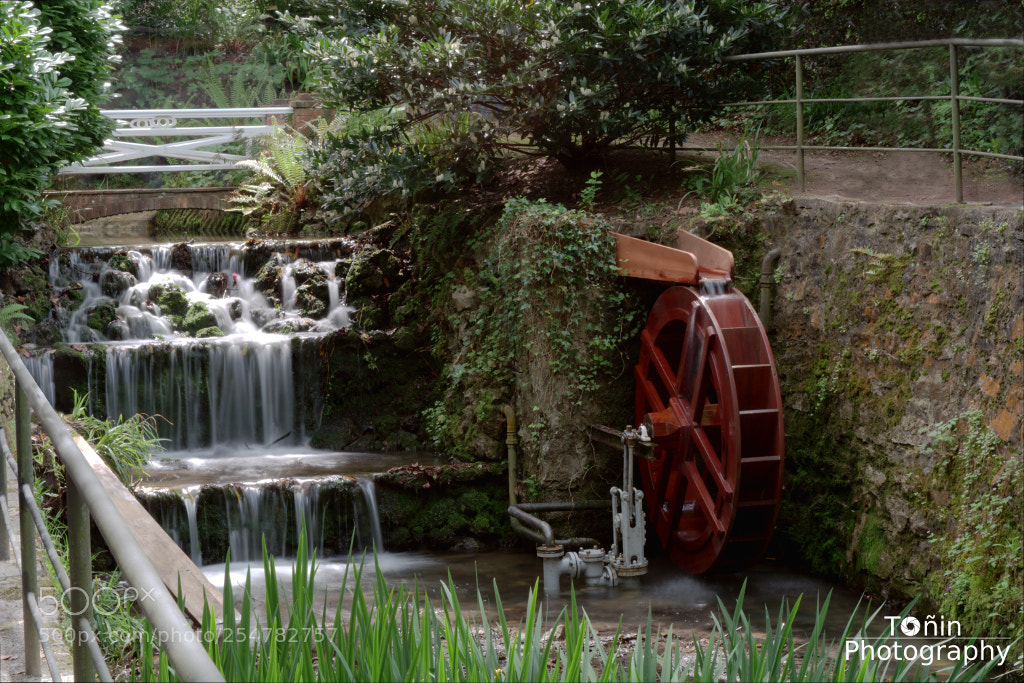 Nikon D5200 sample photo. Ferris wheel botanical garden photography