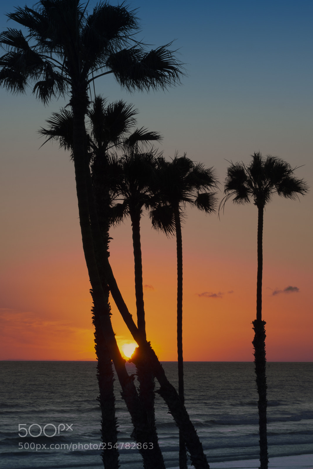 Nikon D7200 sample photo. California sunsets photography