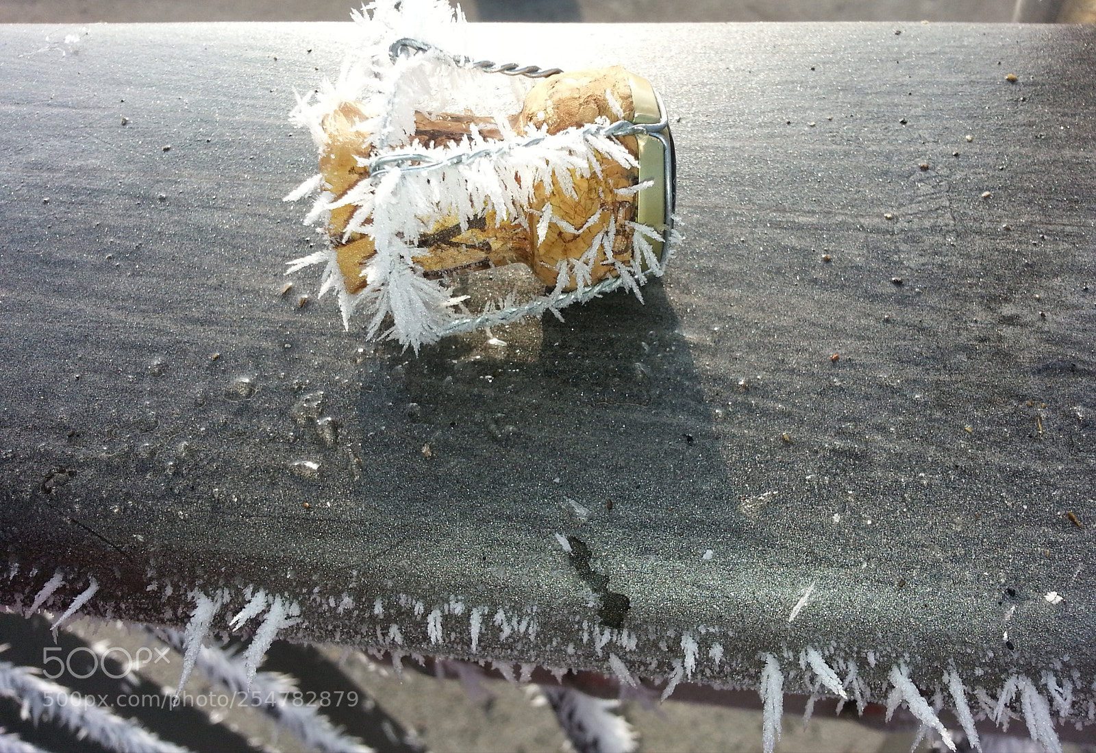 Samsung Galaxy S3 sample photo. Untitled photography