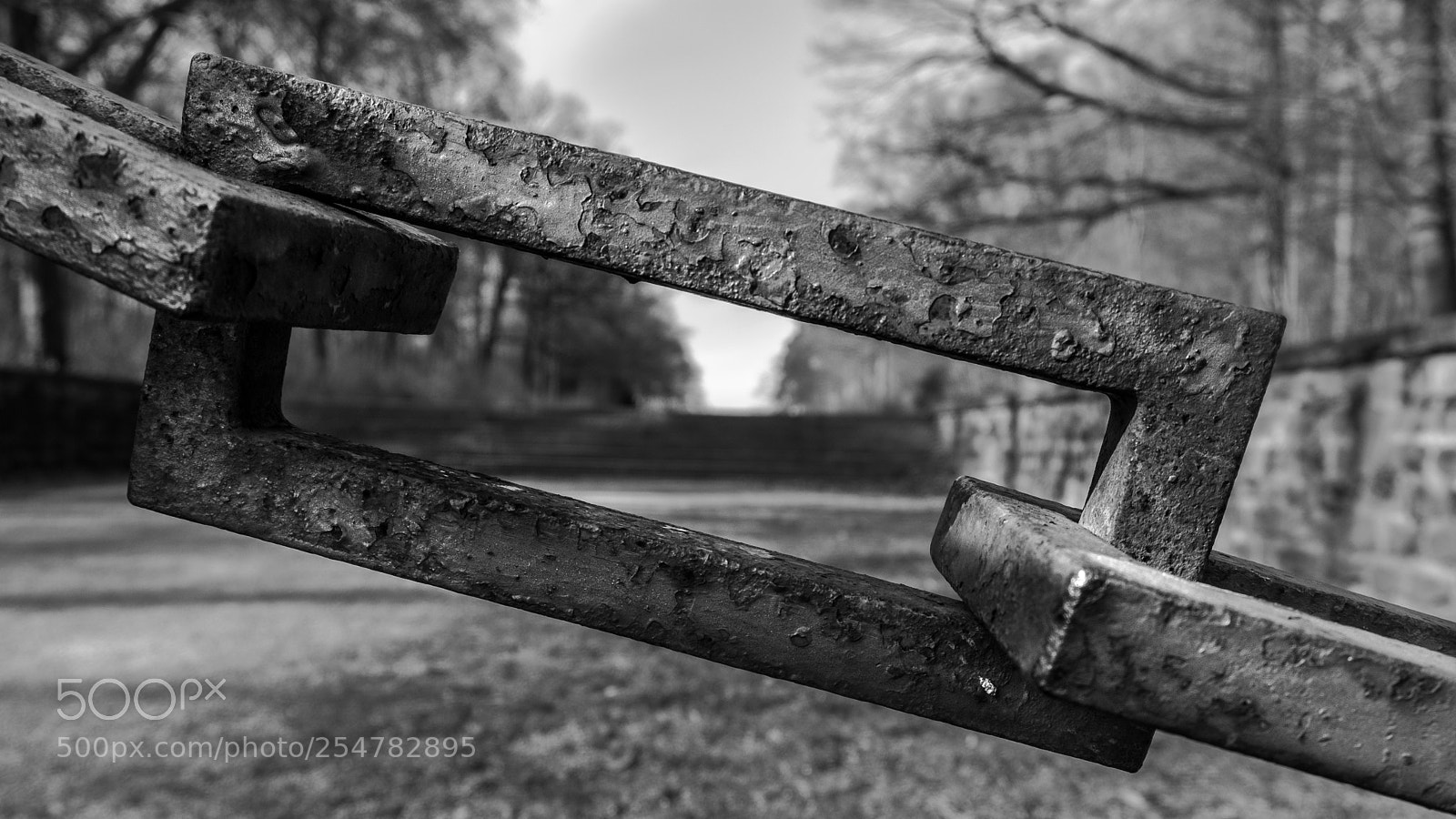 Fujifilm X-T2 sample photo. Bw photography