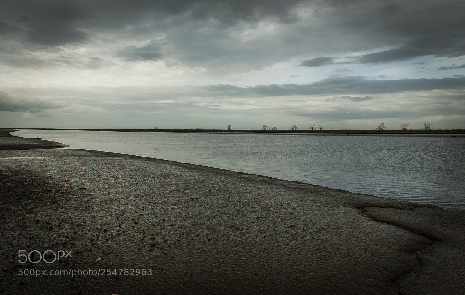 Nikon D610 sample photo. Linhas... photography