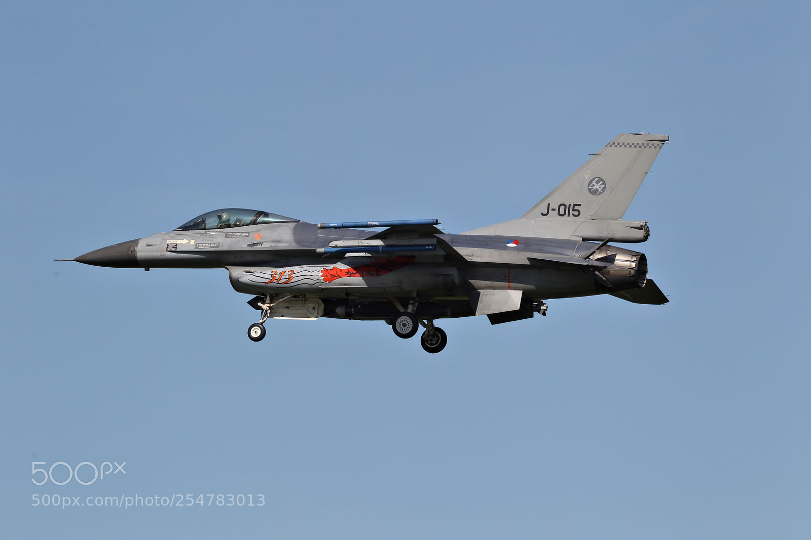 Canon EOS-1D Mark IV sample photo. A new tiger squadron photography