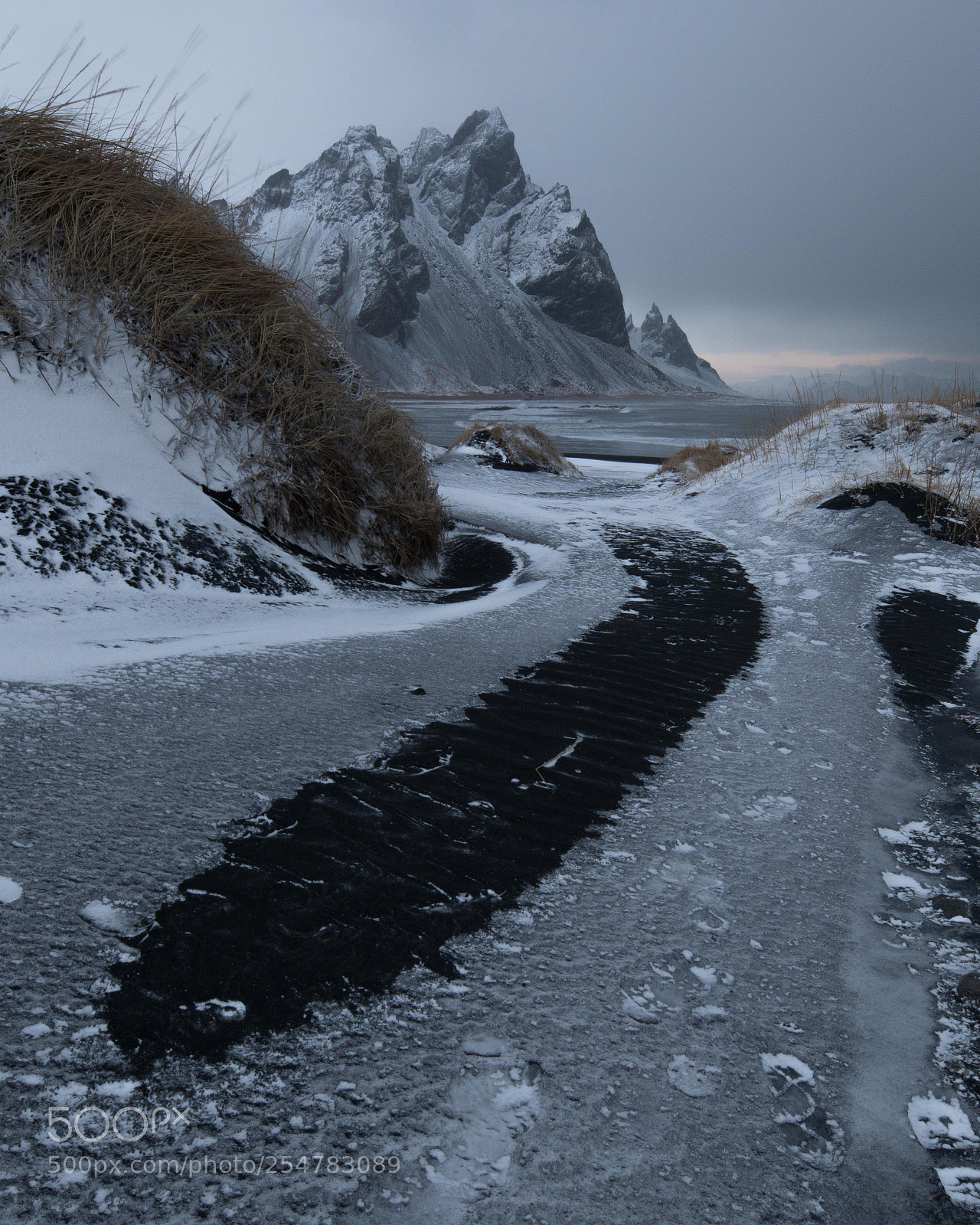 Nikon D850 sample photo. En sti ved vestrahorn photography