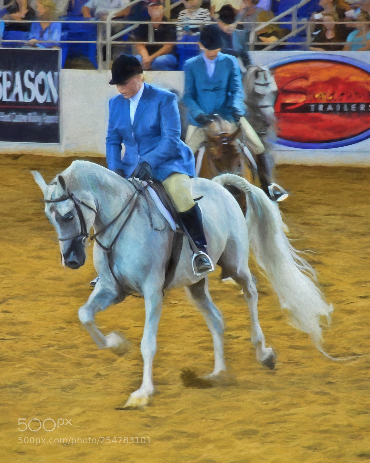 Nikon D800 sample photo. Arabian horse show photography
