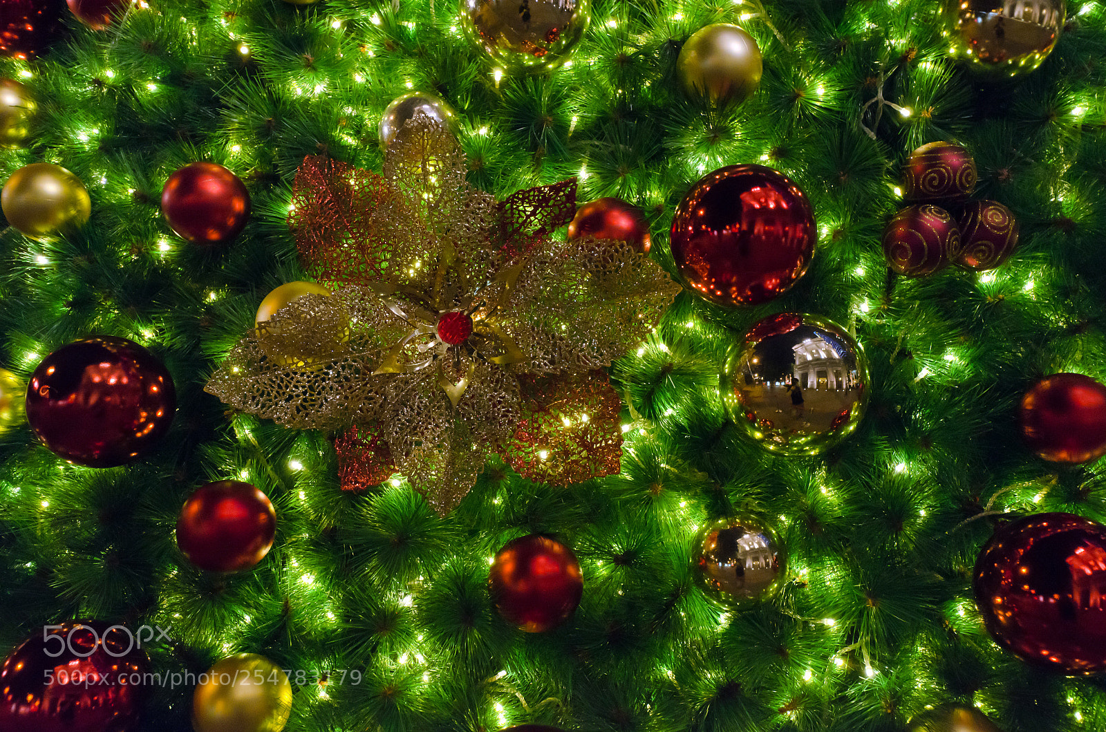 Nikon D7000 sample photo. Christmas time photography