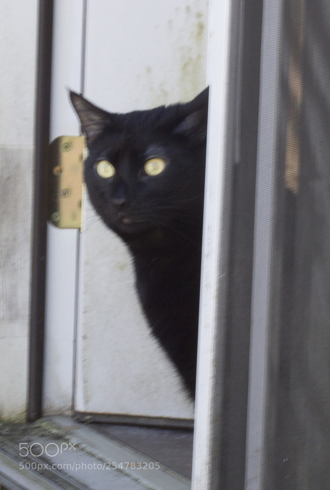 Canon EOS 1100D (EOS Rebel T3 / EOS Kiss X50) sample photo. Coal photography