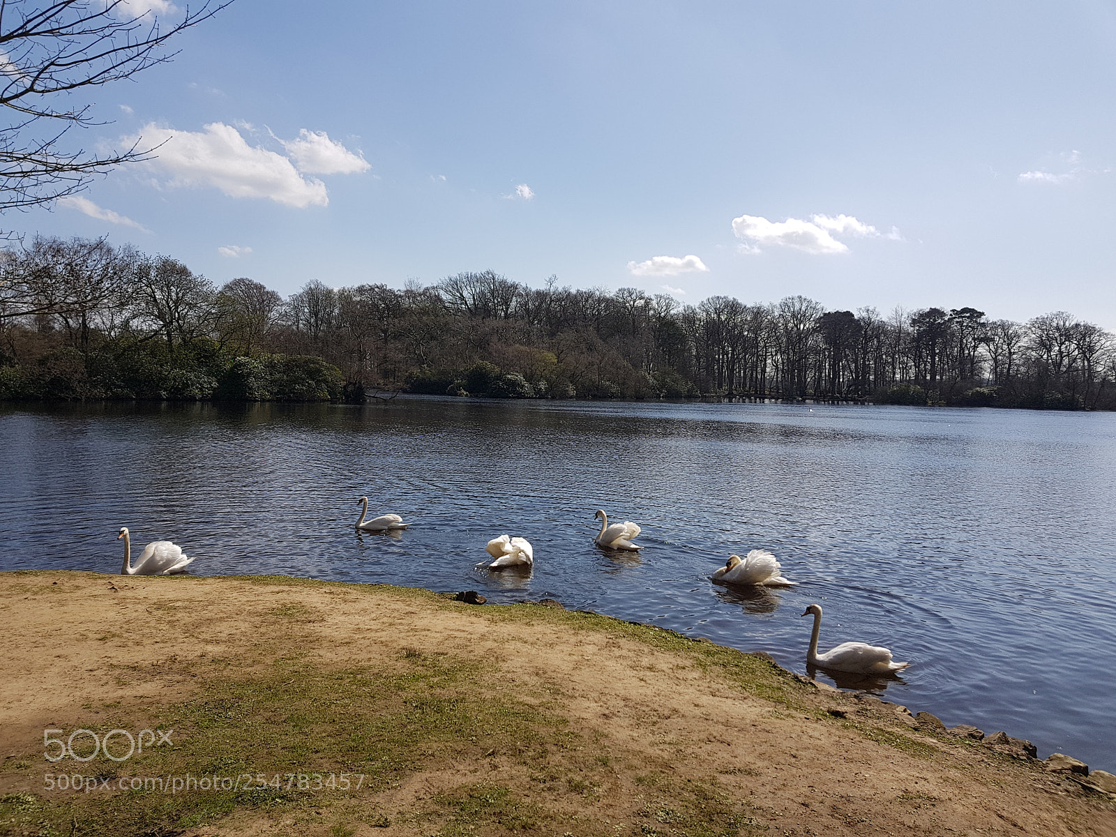 Samsung Galaxy S8 sample photo. Untitled photography