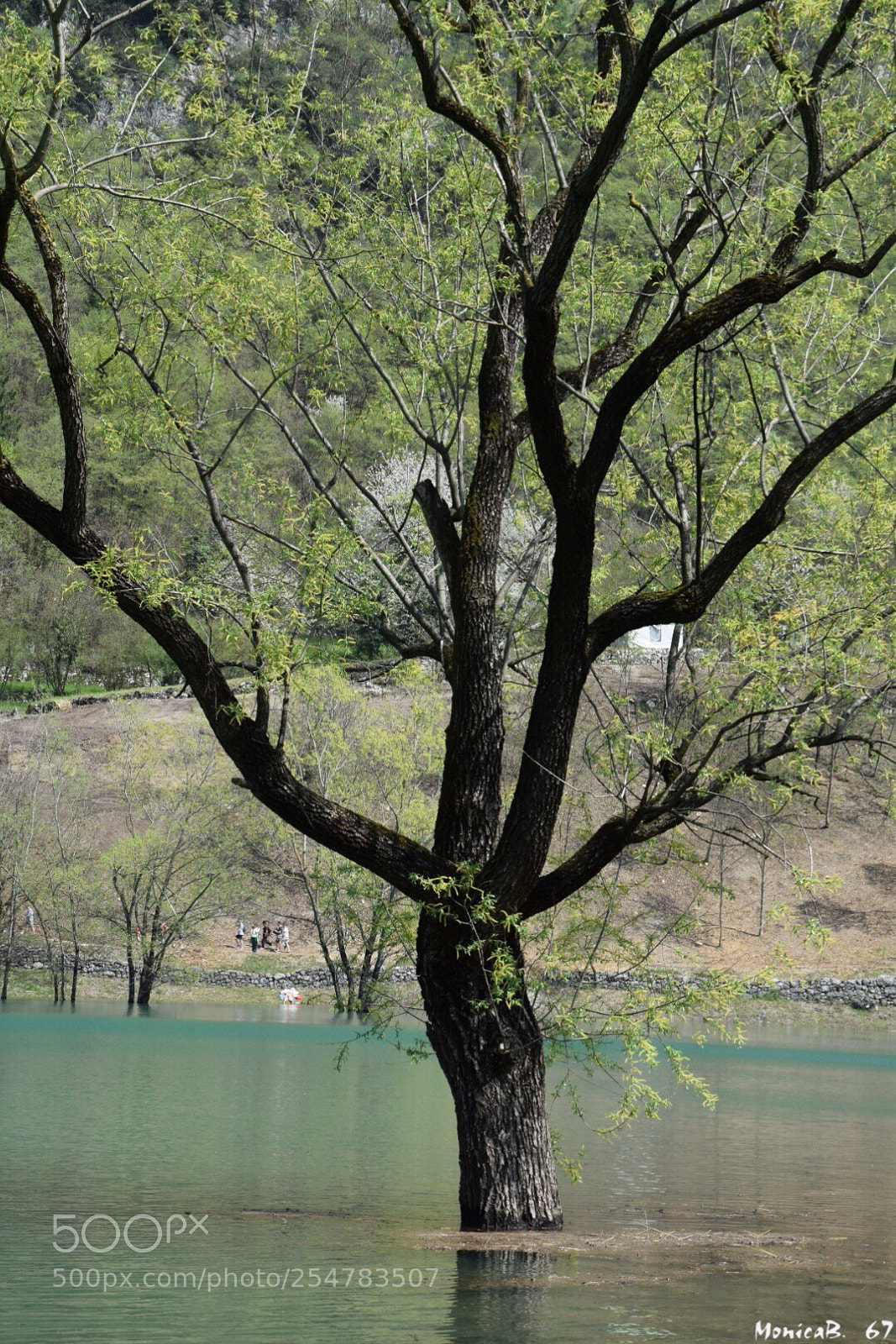 Nikon D5300 sample photo. Lago di tenno  photography