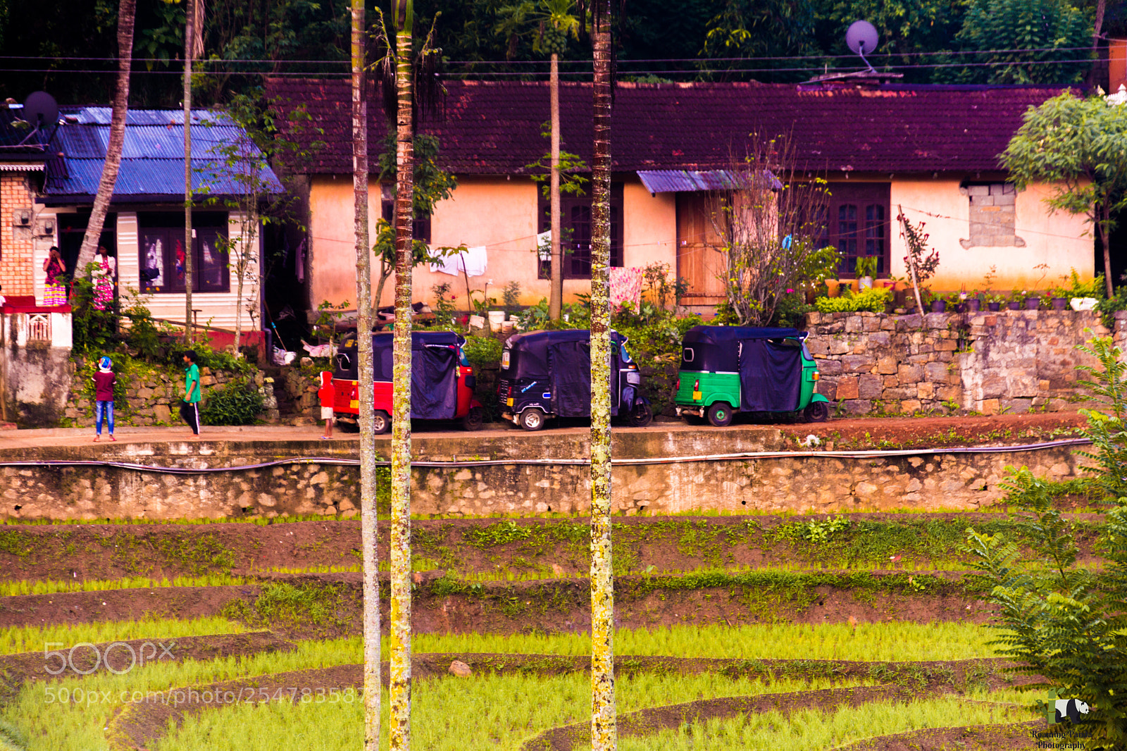 Nikon D7100 sample photo. Mornings photography