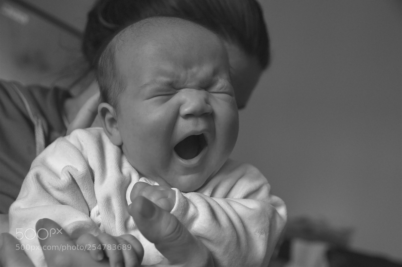 Nikon D300S sample photo. Yawn photography