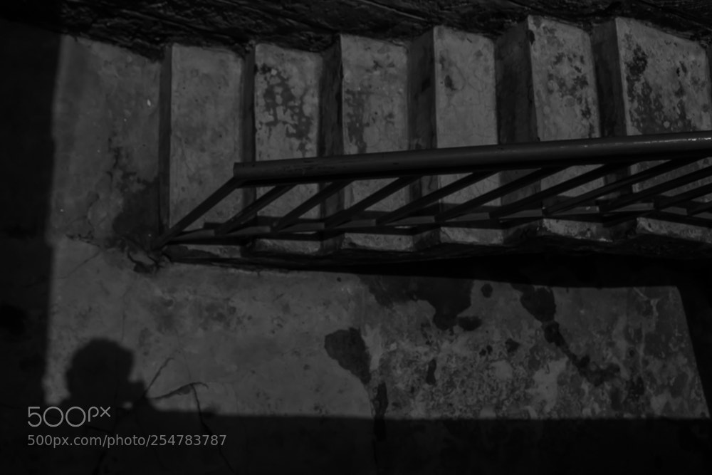 Canon EOS 700D (EOS Rebel T5i / EOS Kiss X7i) sample photo. The stairway photography