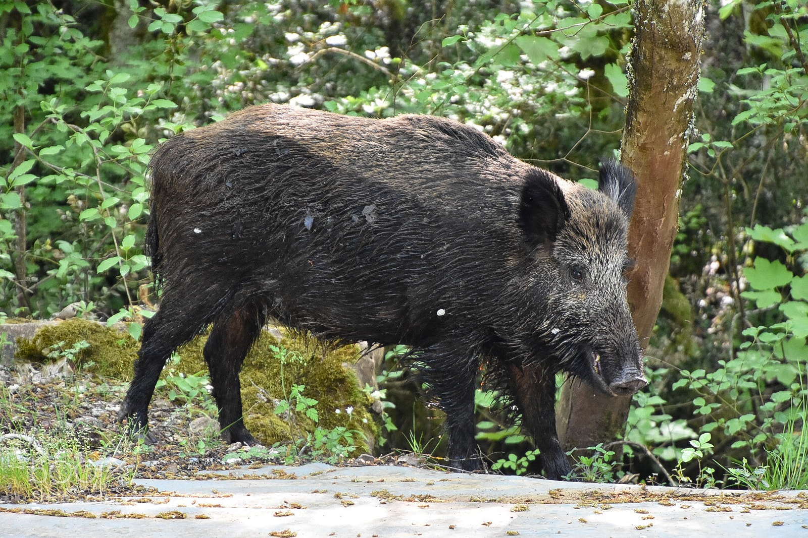 Nikon D3400 sample photo. Unexpected encounters photography