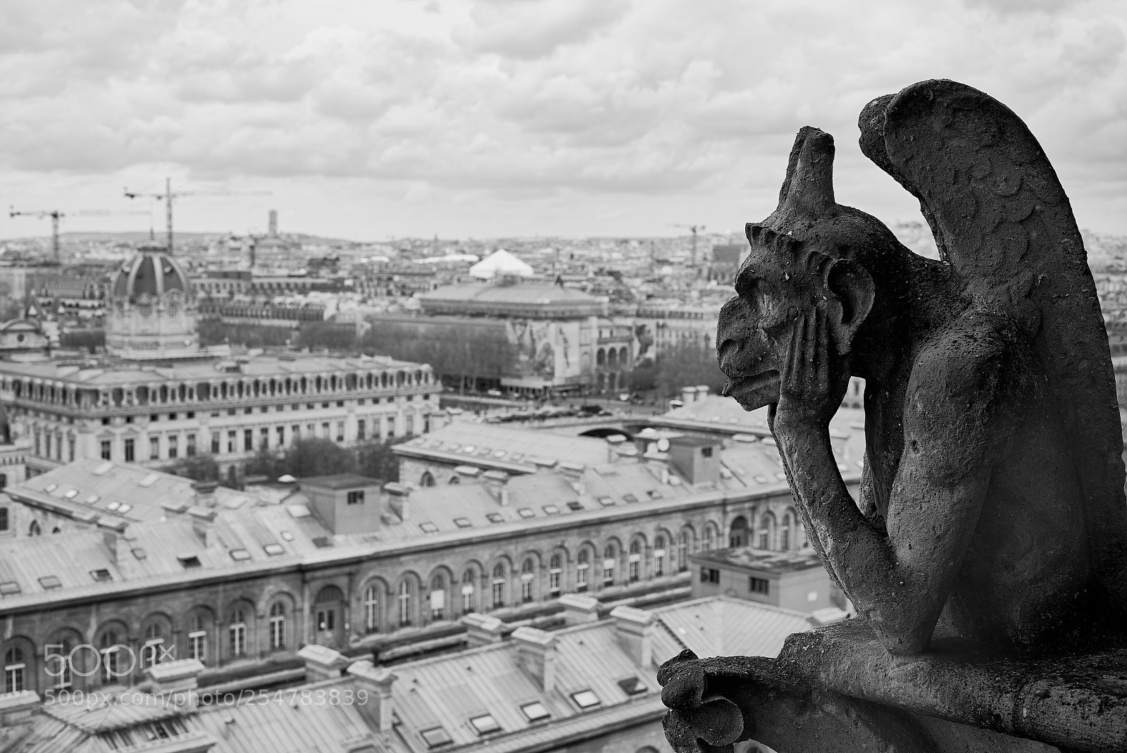 Leica M (Typ 240) sample photo. Notre dame - paris photography