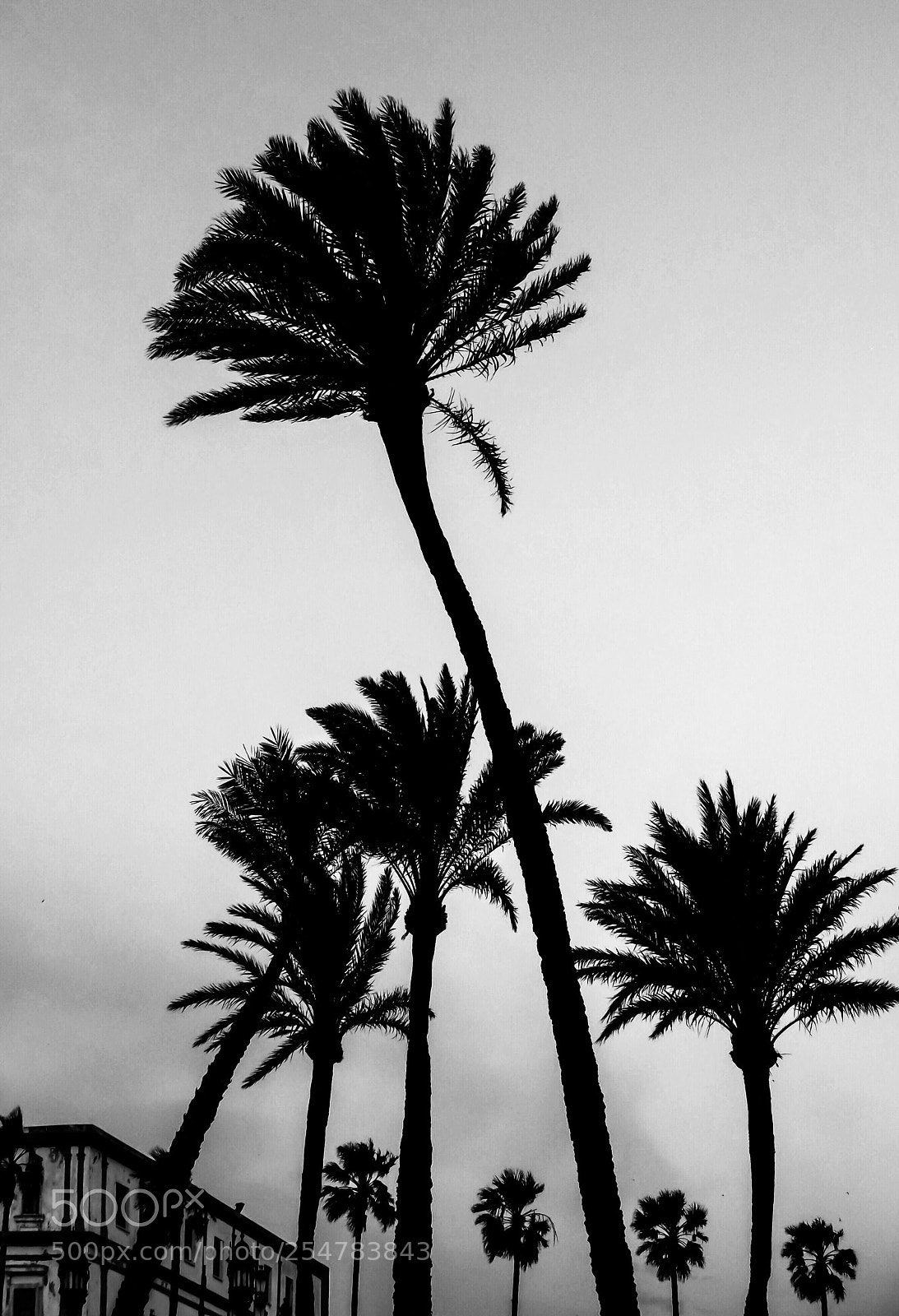 Fujifilm X-T1 sample photo. CÁdiz photography