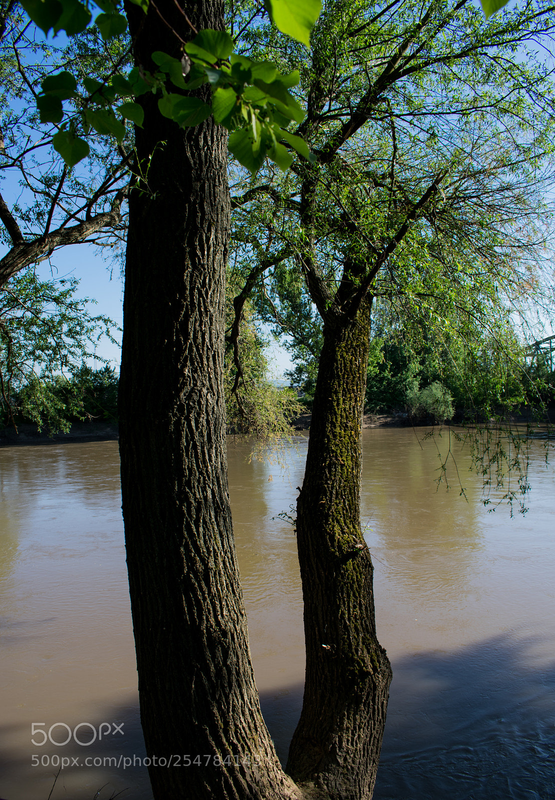 Nikon D3400 sample photo. By the river photography