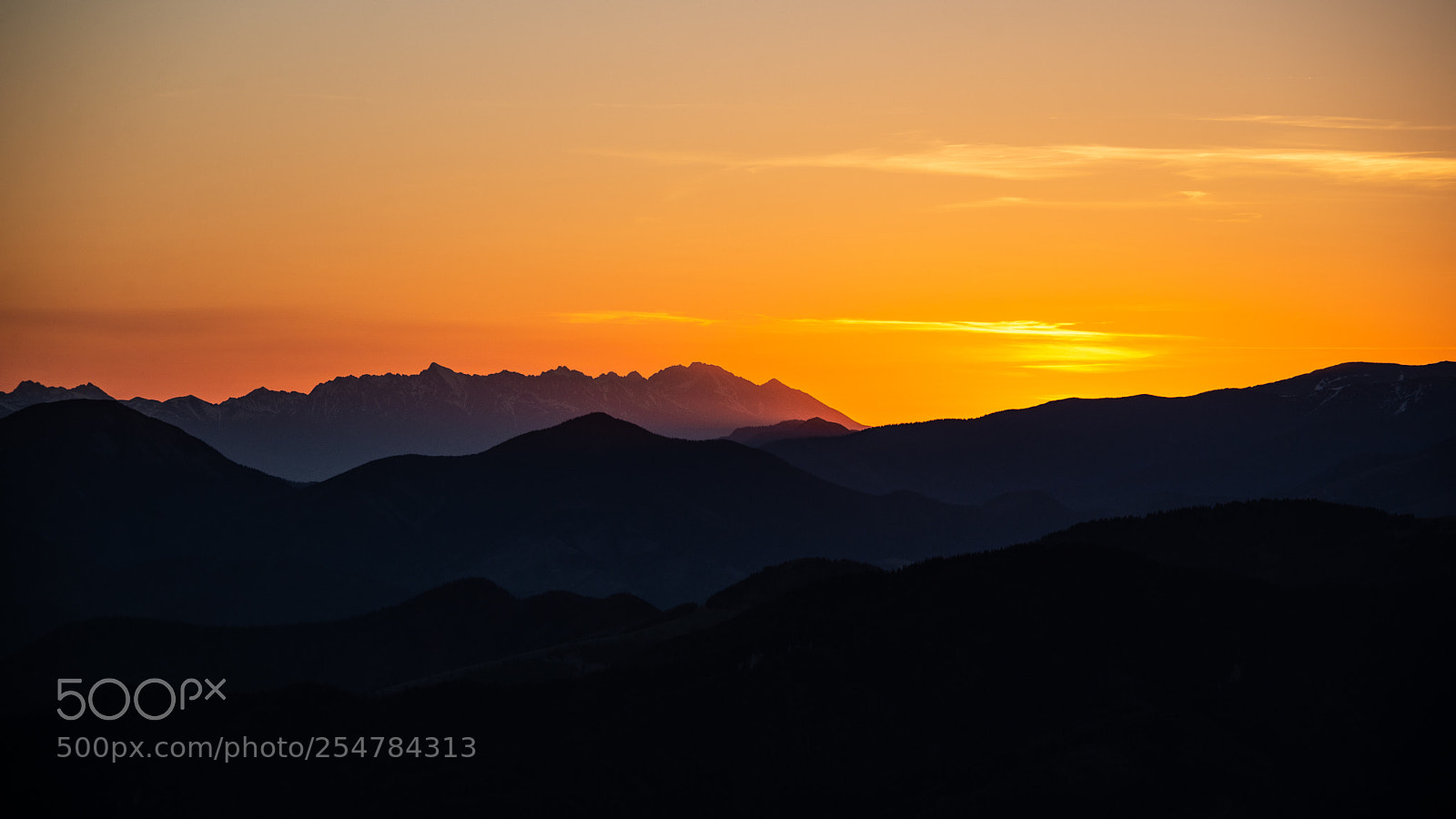Nikon D610 sample photo. Morning golden hour photography