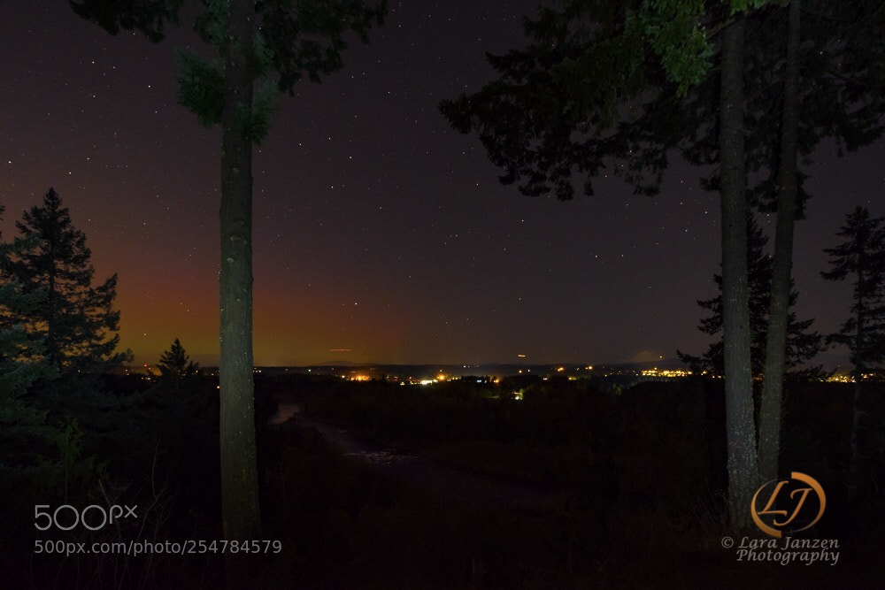 Nikon D7200 sample photo. Northern lights over the photography