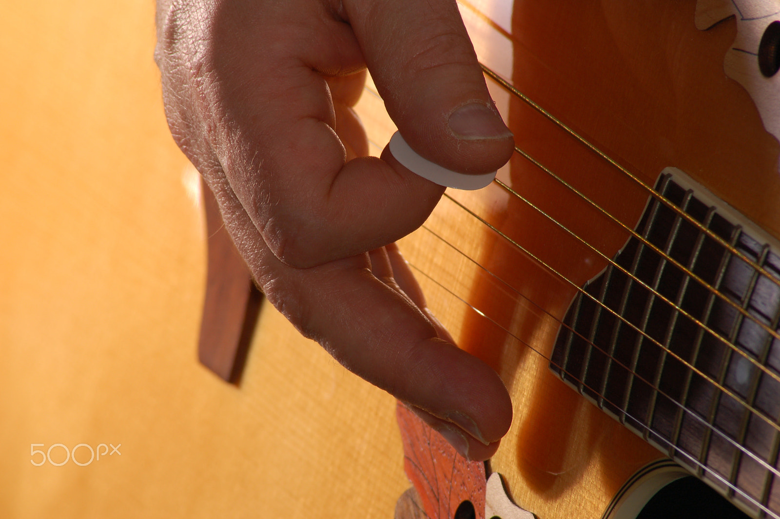 Nikon D50 + Nikon AF Nikkor 70-300mm F4-5.6G sample photo. Hand picked guitar photography