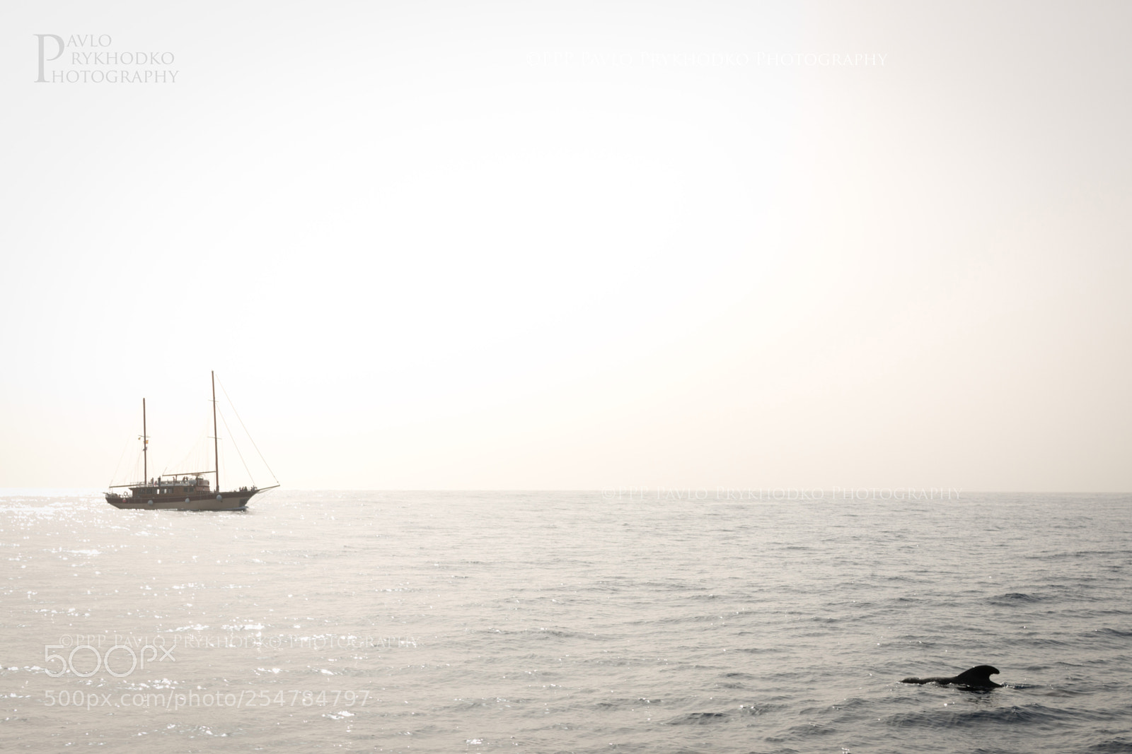 Canon EOS 70D sample photo. The new horizons photography