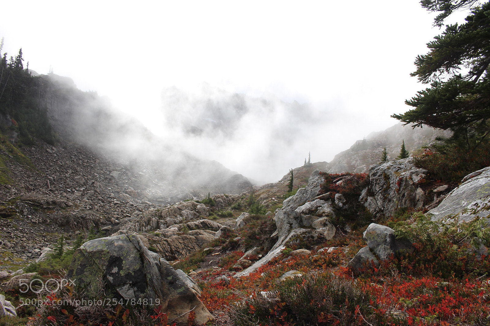 Canon EOS 700D (EOS Rebel T5i / EOS Kiss X7i) sample photo. Mist  photography