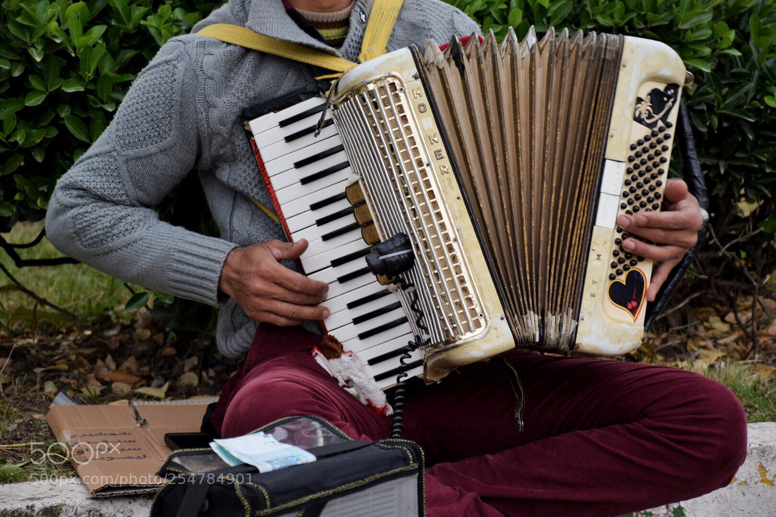 Nikon D5300 sample photo. Untitled photography