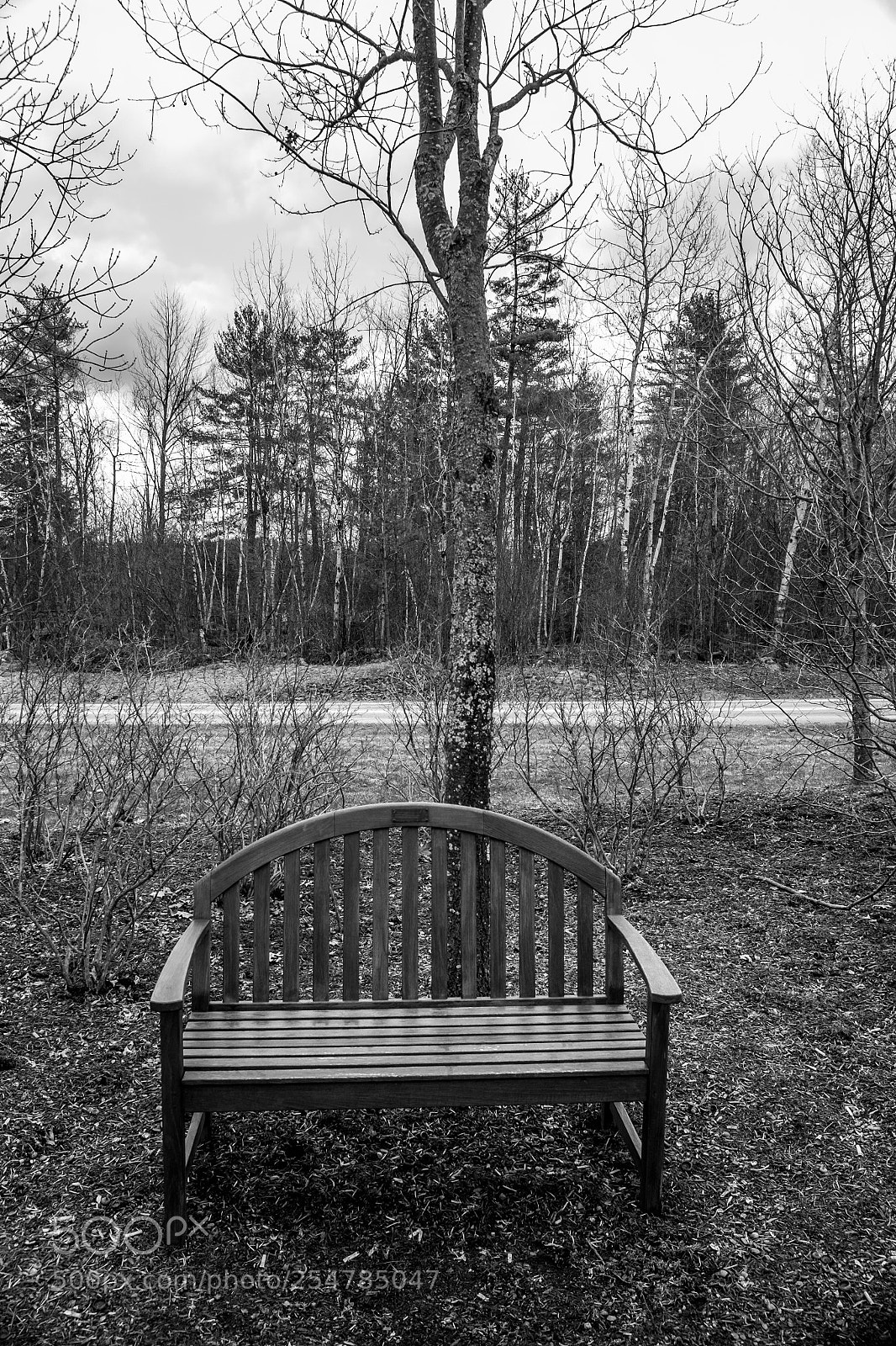 Fujifilm X100T sample photo. Cloudy bench photography