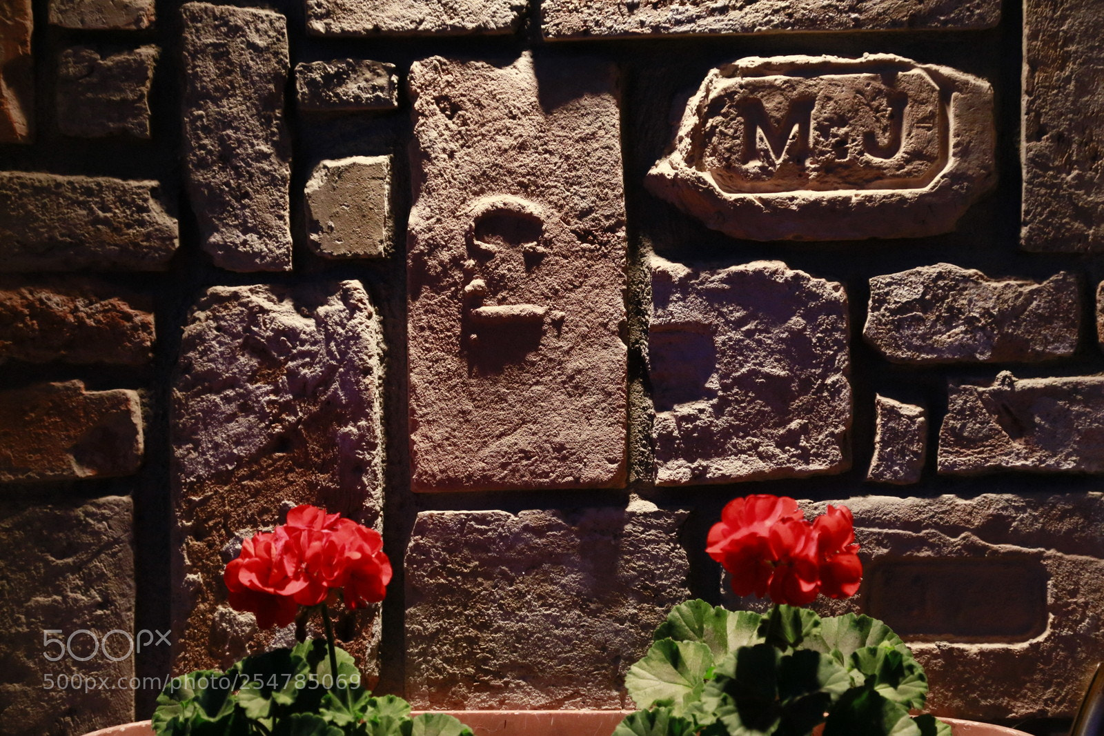 Canon EOS 6D + Canon EF 24-105mm F4L IS USM sample photo. Mg photography