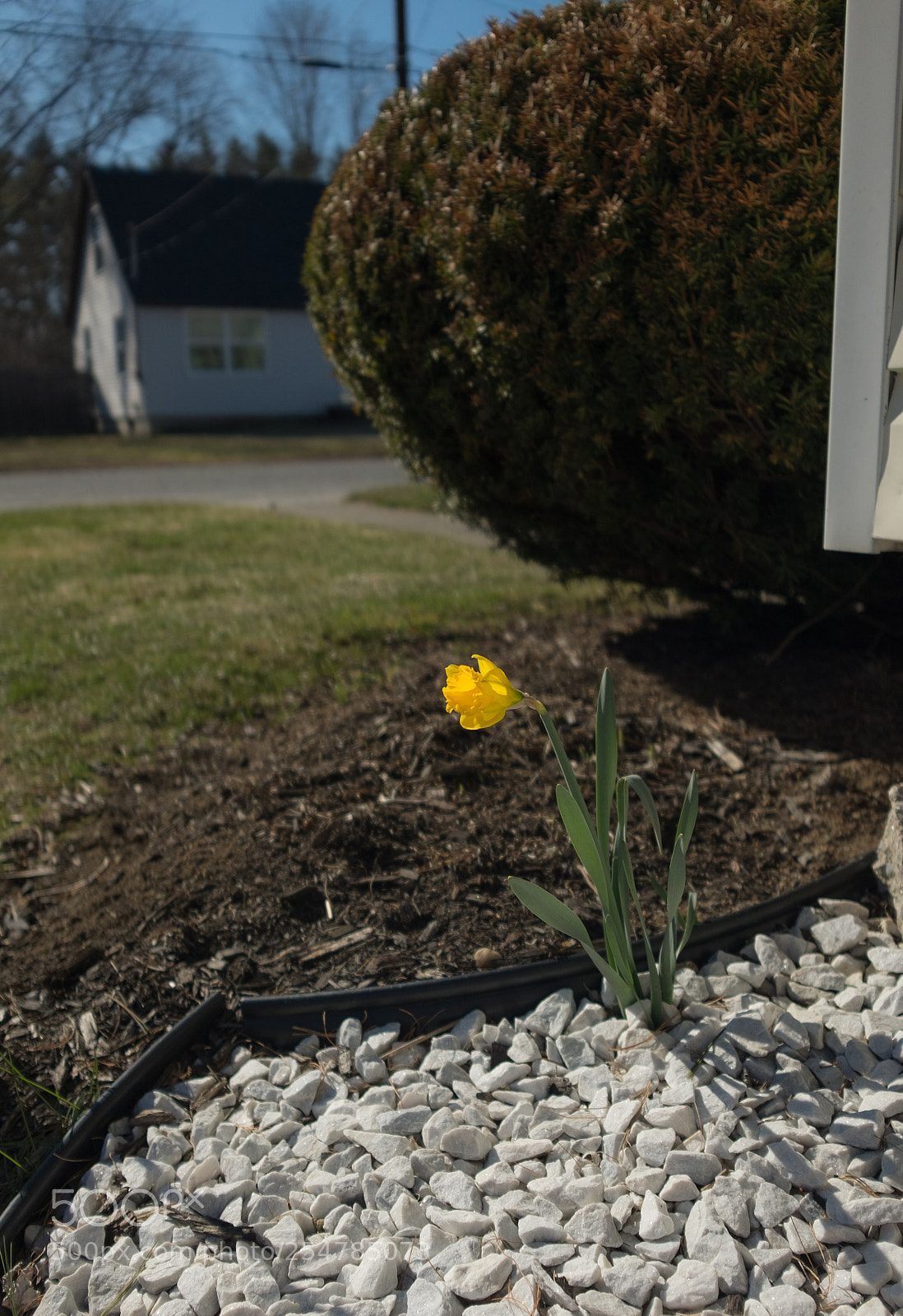 Fujifilm X100T sample photo. Oops photography