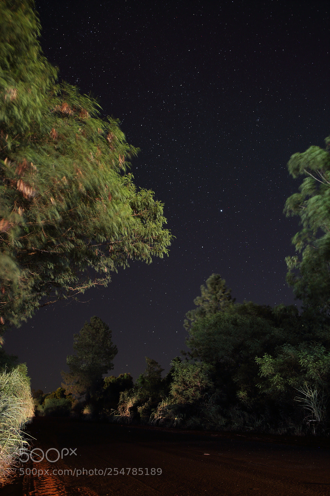 Canon EOS 600D (Rebel EOS T3i / EOS Kiss X5) sample photo. Star walk photography