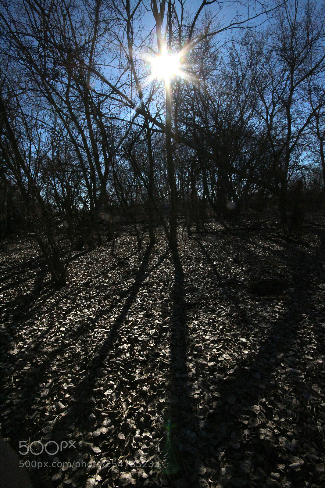 Canon EOS 700D (EOS Rebel T5i / EOS Kiss X7i) sample photo. Sol y sombras. photography