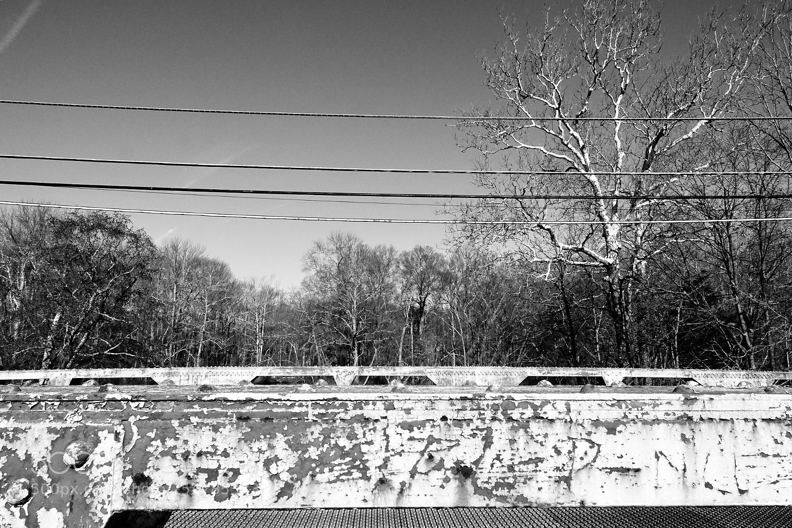 Sony Cyber-shot DSC-RX10 III sample photo. Bridge wires trees sky photography