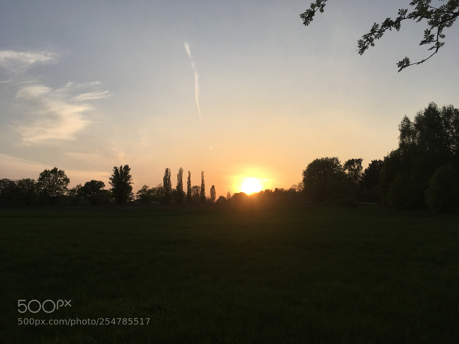 Apple iPhone SE sample photo. Golden hour photography