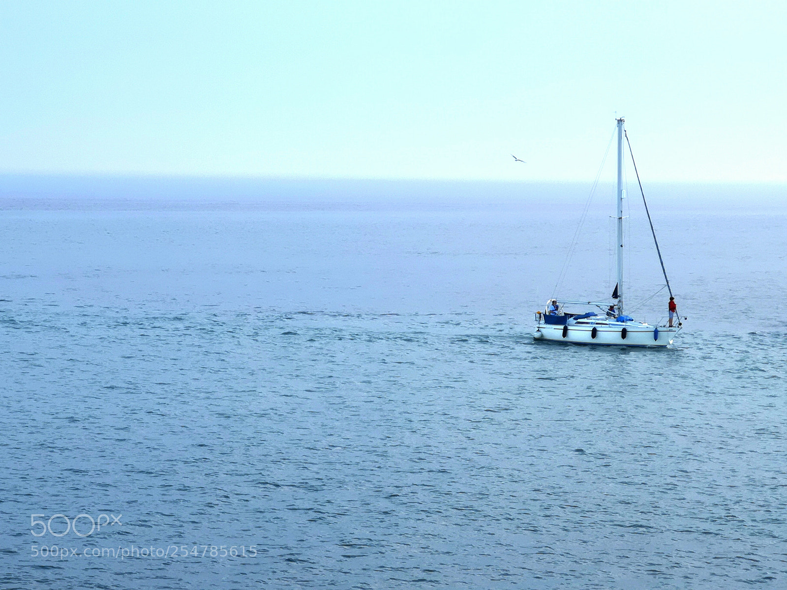 HUAWEI CLT-L09 sample photo. Sailing photography