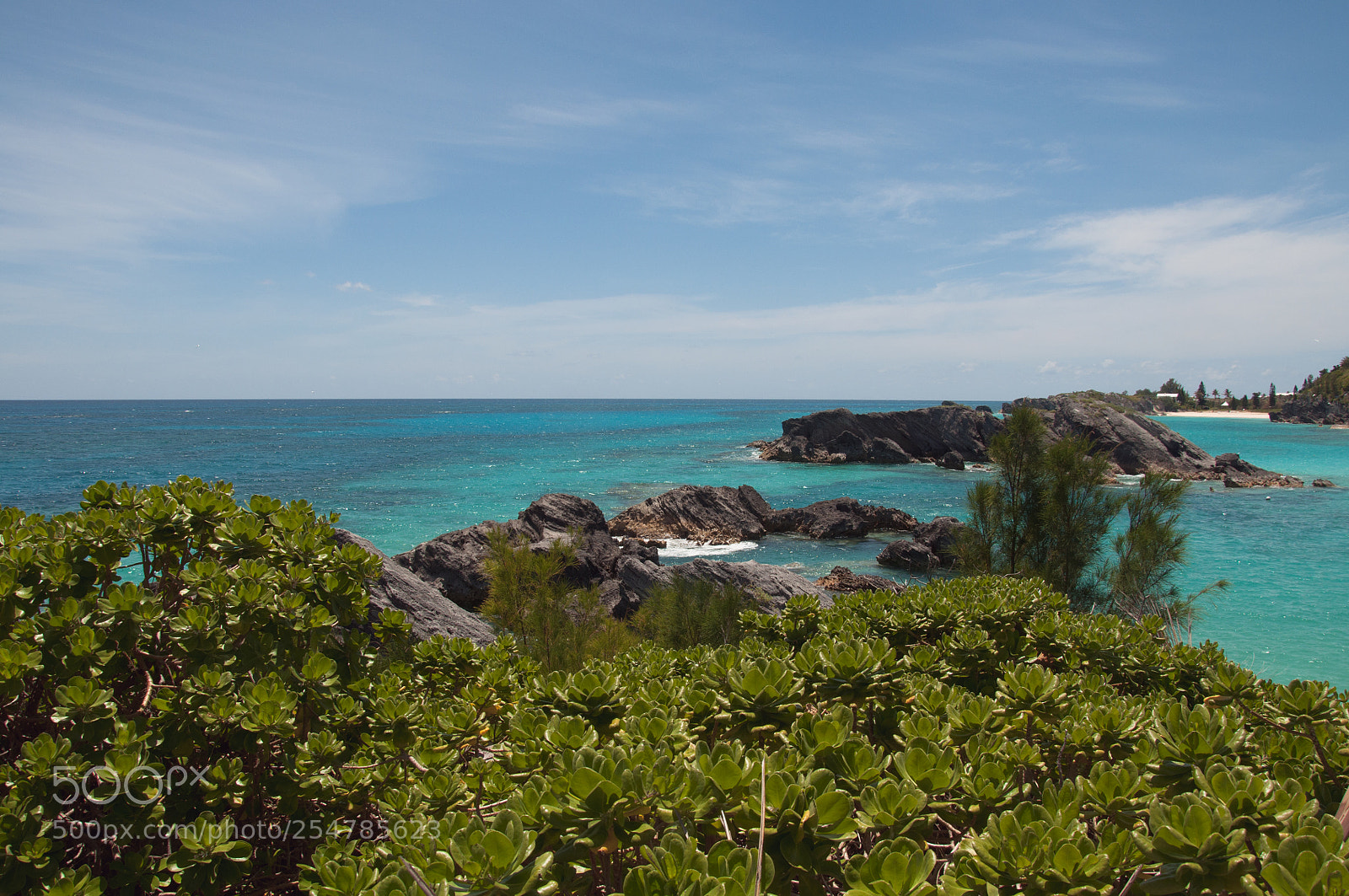 Nikon D90 sample photo. The atlantic ocean in photography