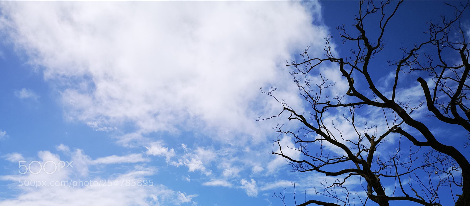 HUAWEI CLT-L29 sample photo. Untitled photography