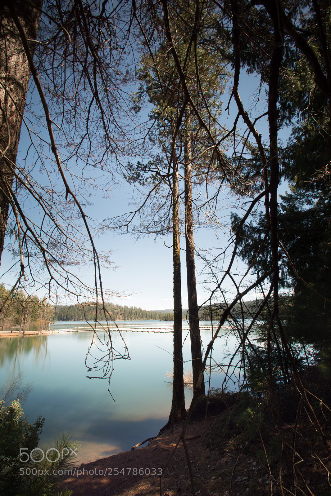 Nikon D7200 sample photo. Beautiful, jenkinson lake eldorado photography