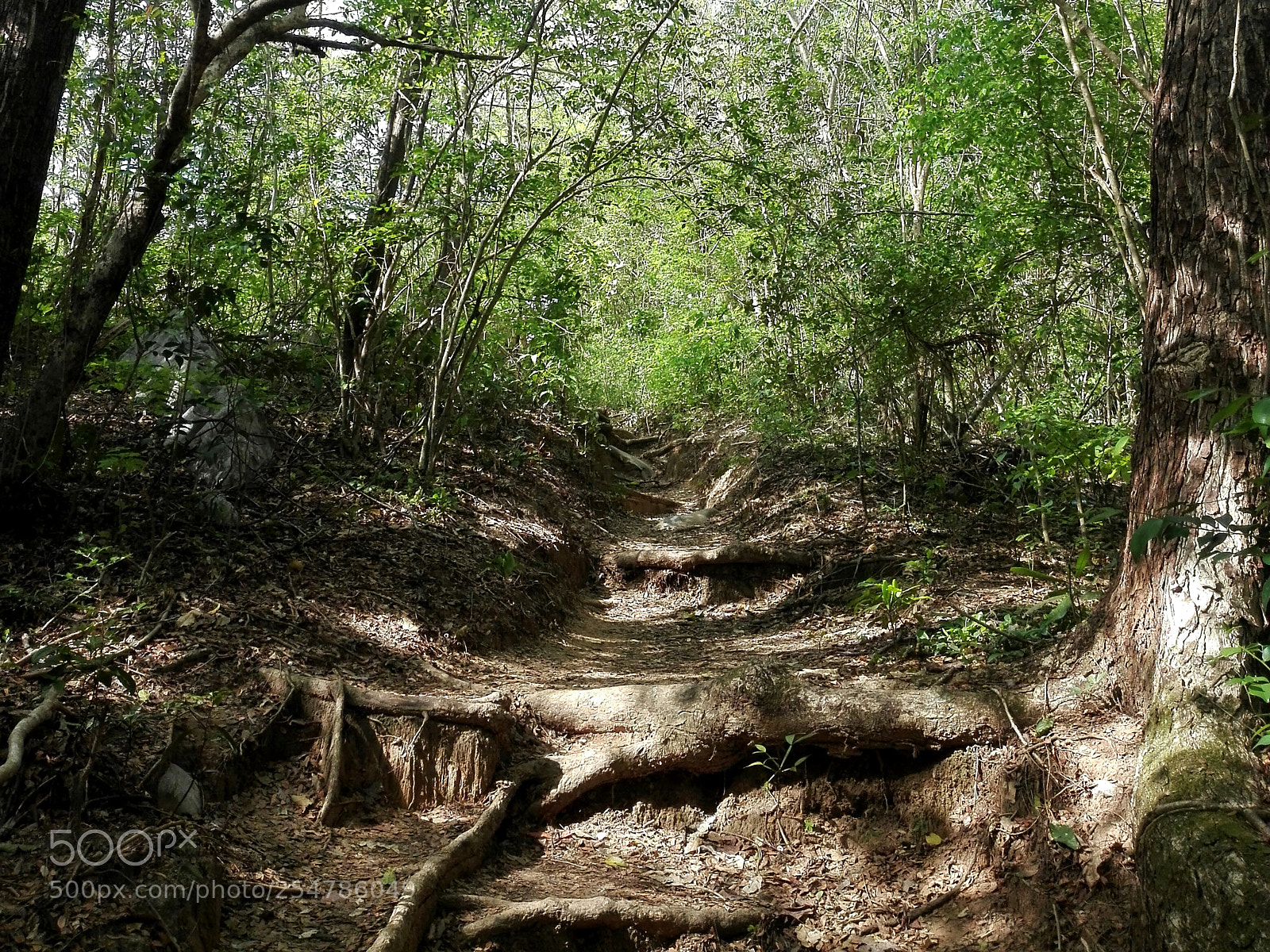 HUAWEI P8 Lite sample photo. Salto de los portales photography