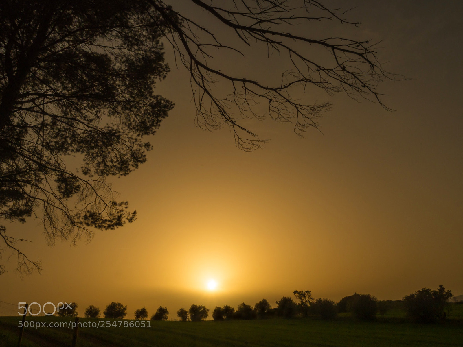 Olympus OM-D E-M1 Mark II sample photo. Magical atmosphere.. photography