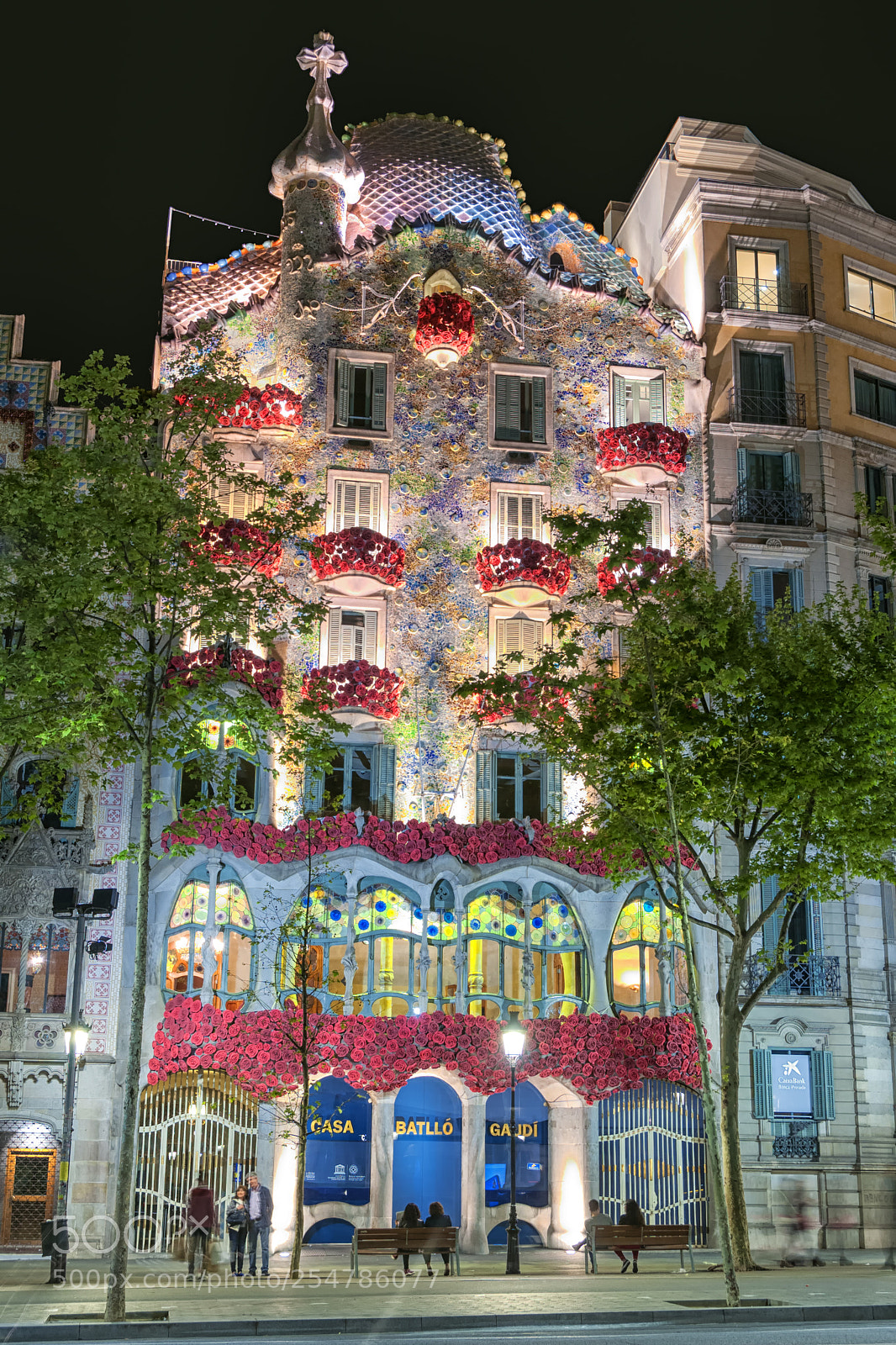 Nikon D300 sample photo. Casa batlló photography