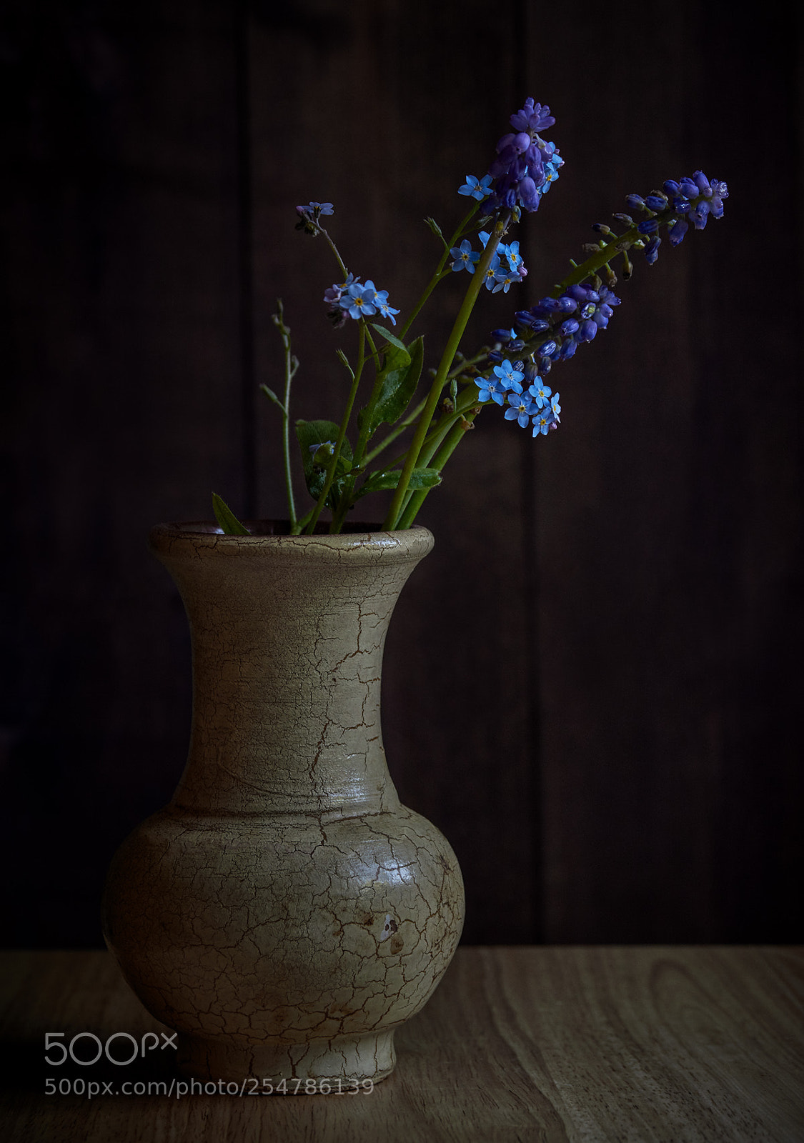 Nikon D7200 sample photo. A little bit of photography