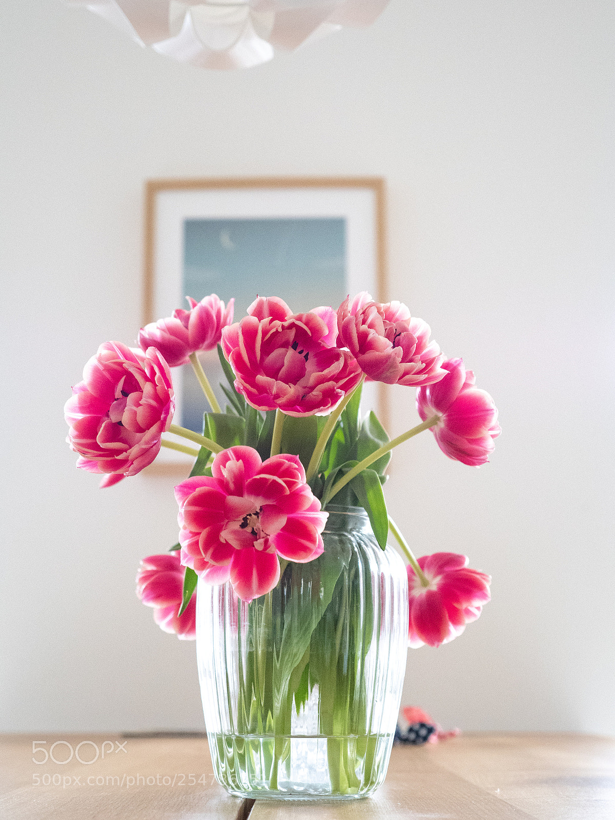 Panasonic Lumix DMC-GX8 sample photo. Tulipans photography