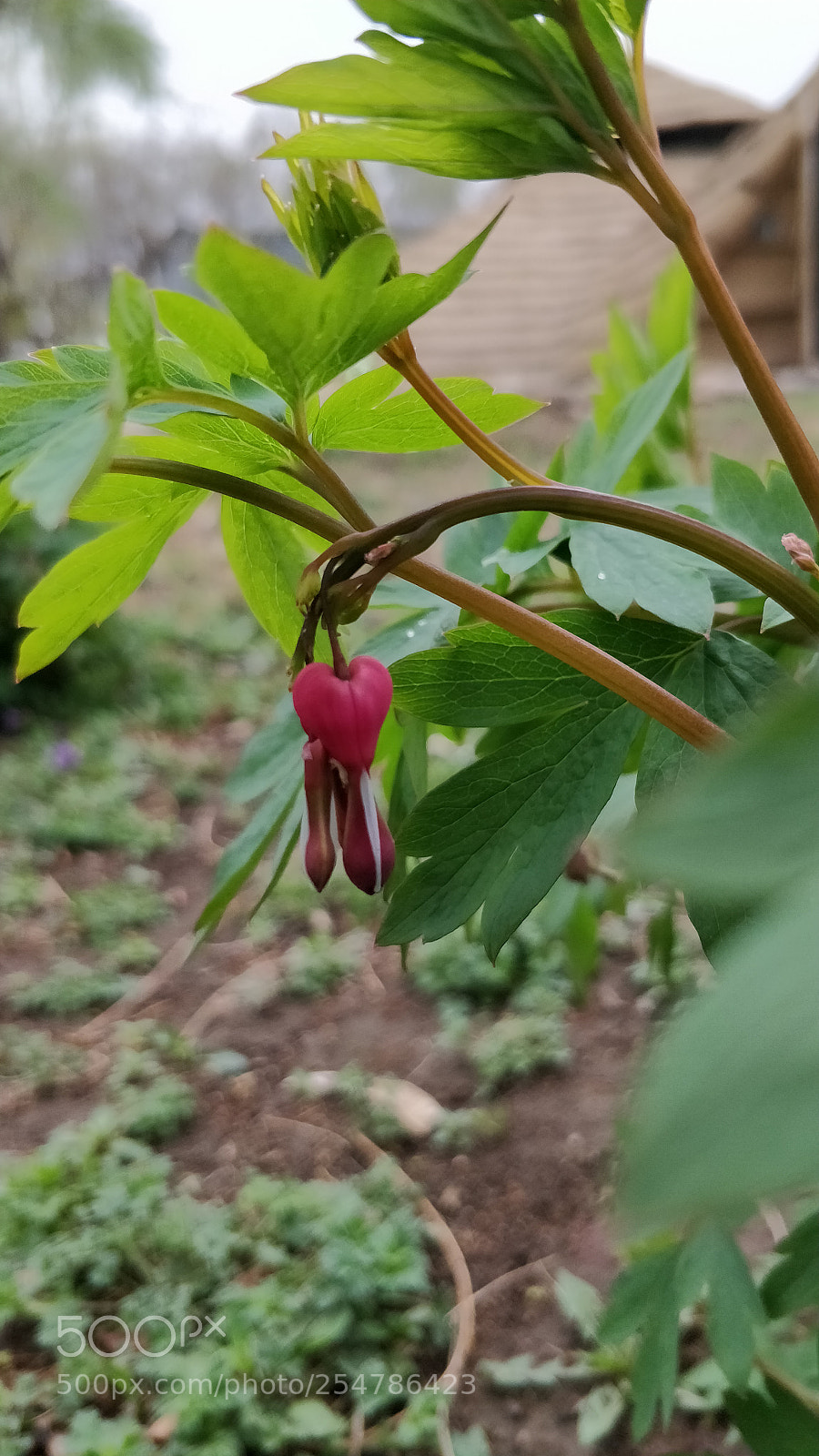 OnePlus 5 sample photo. Untitled photography