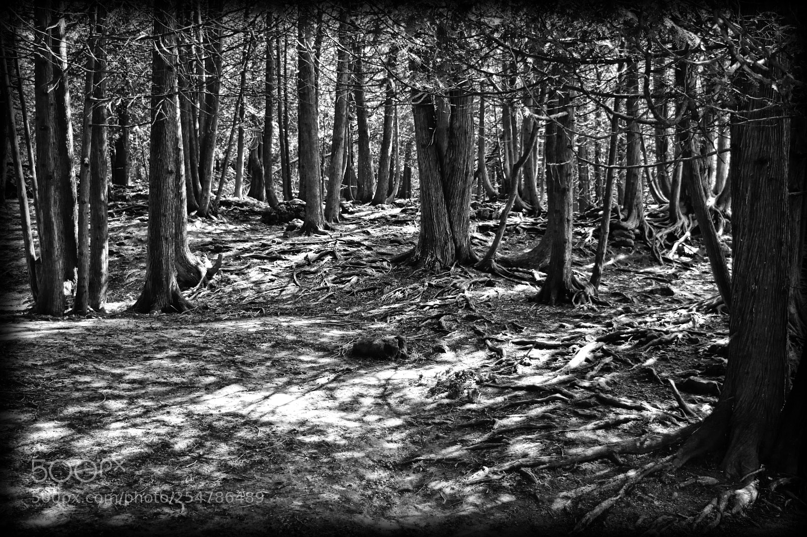 Nikon D3300 sample photo. Off the beaten path photography